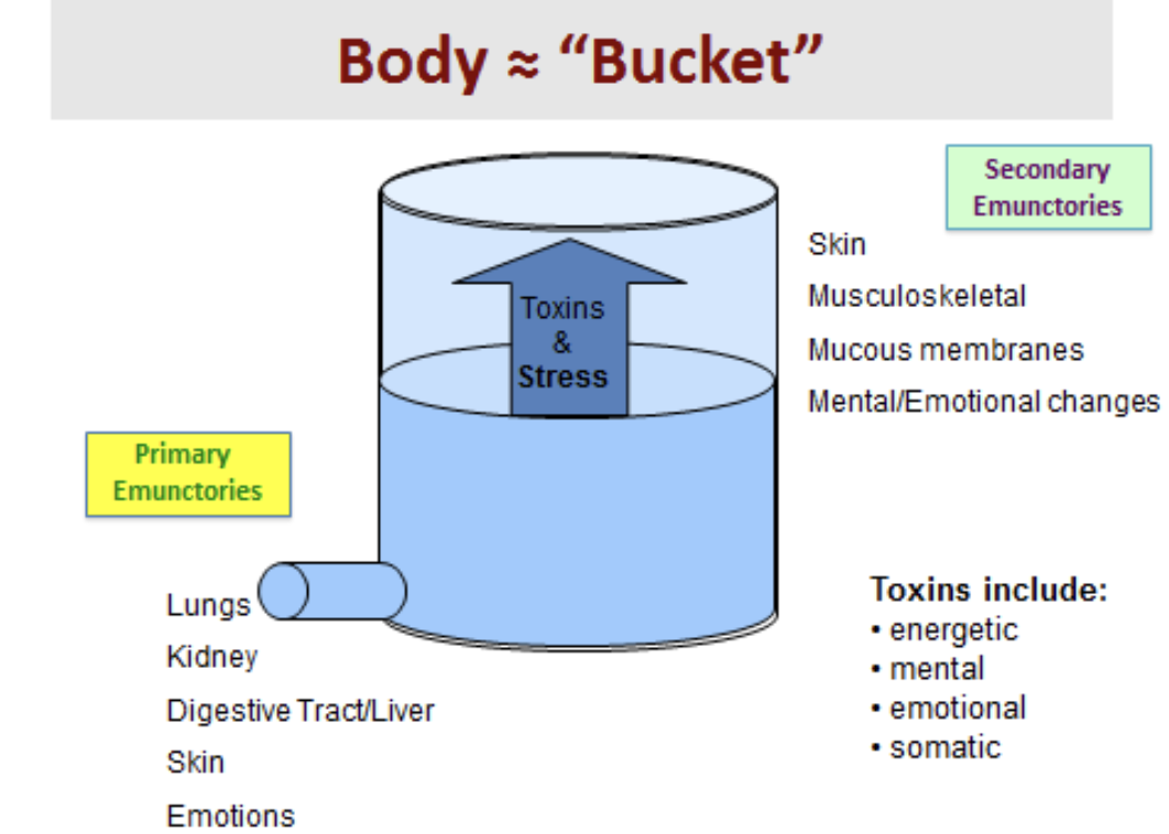 Body Bucket